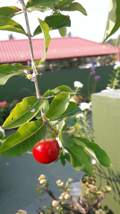 Heavenly Homestay Kochi Buitenkant foto