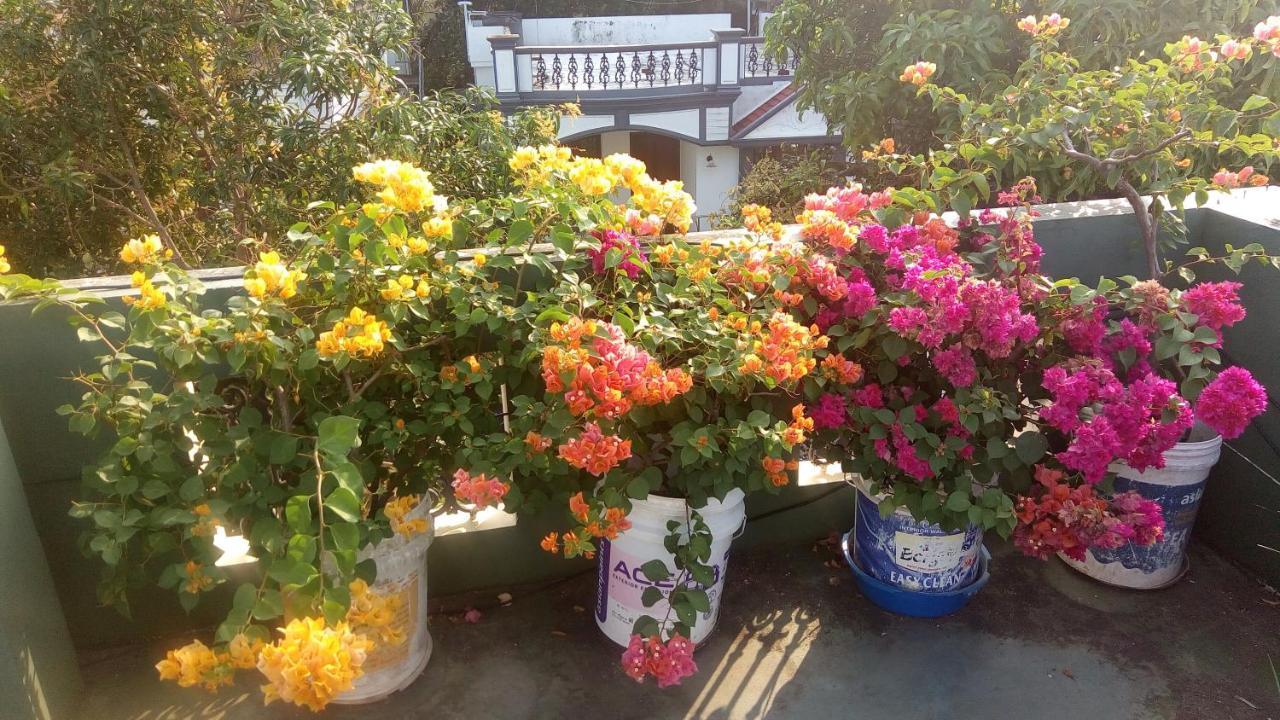 Heavenly Homestay Kochi Buitenkant foto